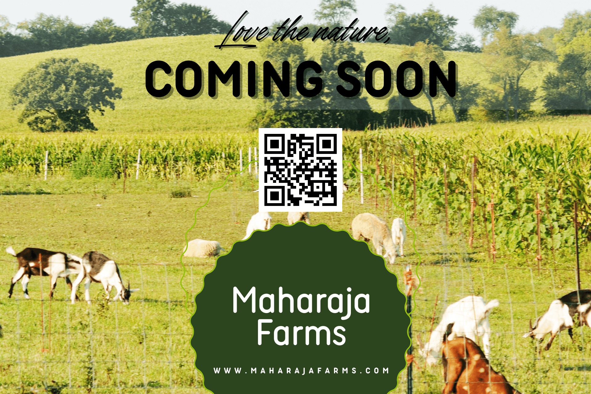 Maharaja Farms